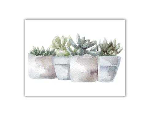 Succulent Notecards