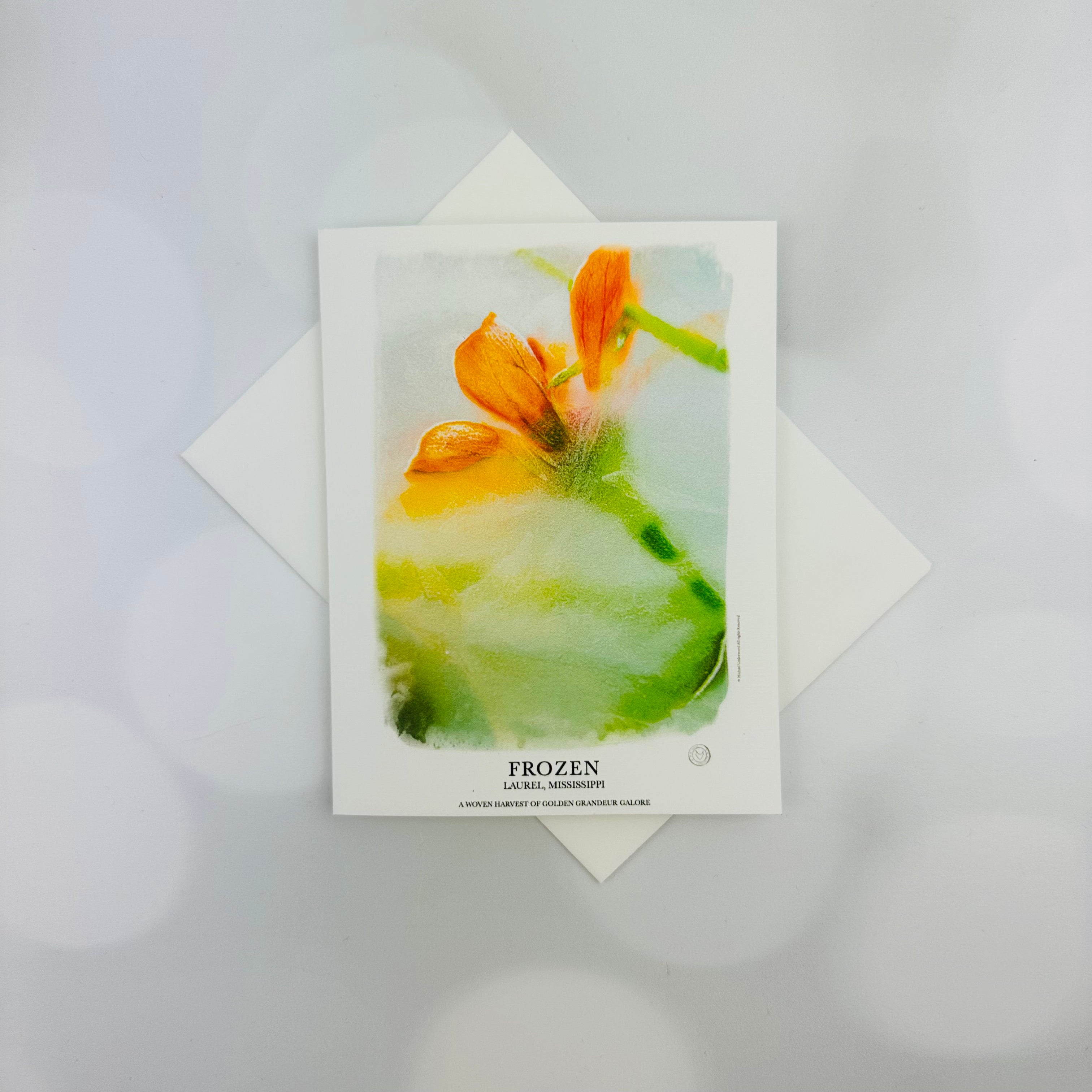 Frozen Orange Flower