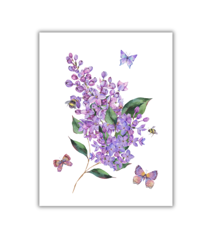 Lilac & Butterfly