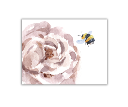 Peony & Bee Notecards