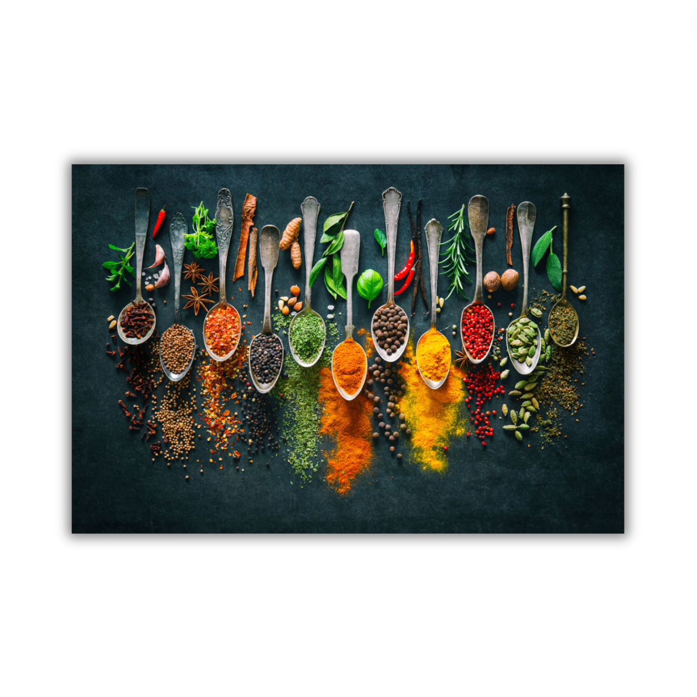 Spices - 11x17 Print
