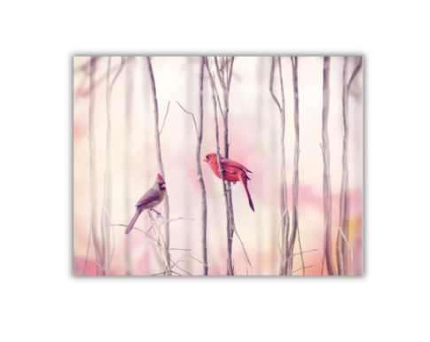Two Cardinal Notecards