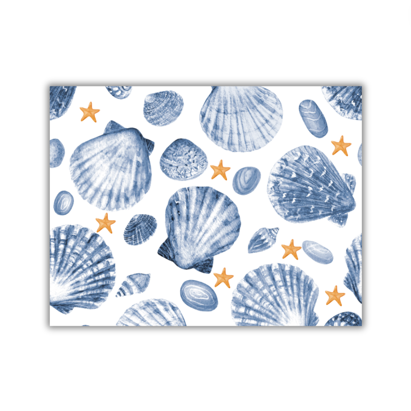 Blue Sea Shell