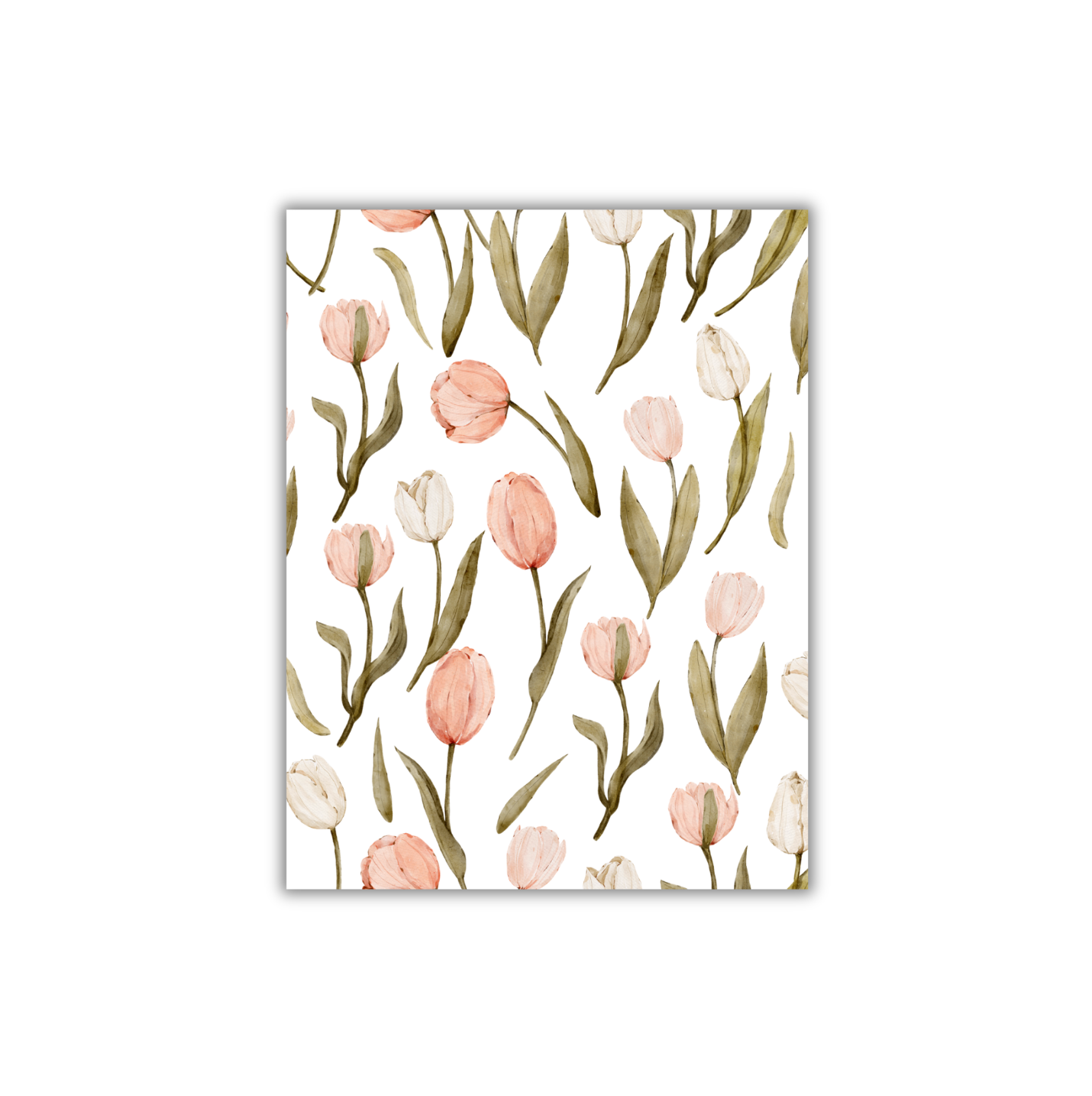 Pastel Tulips